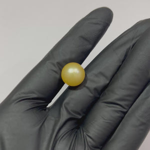Golden Pearl