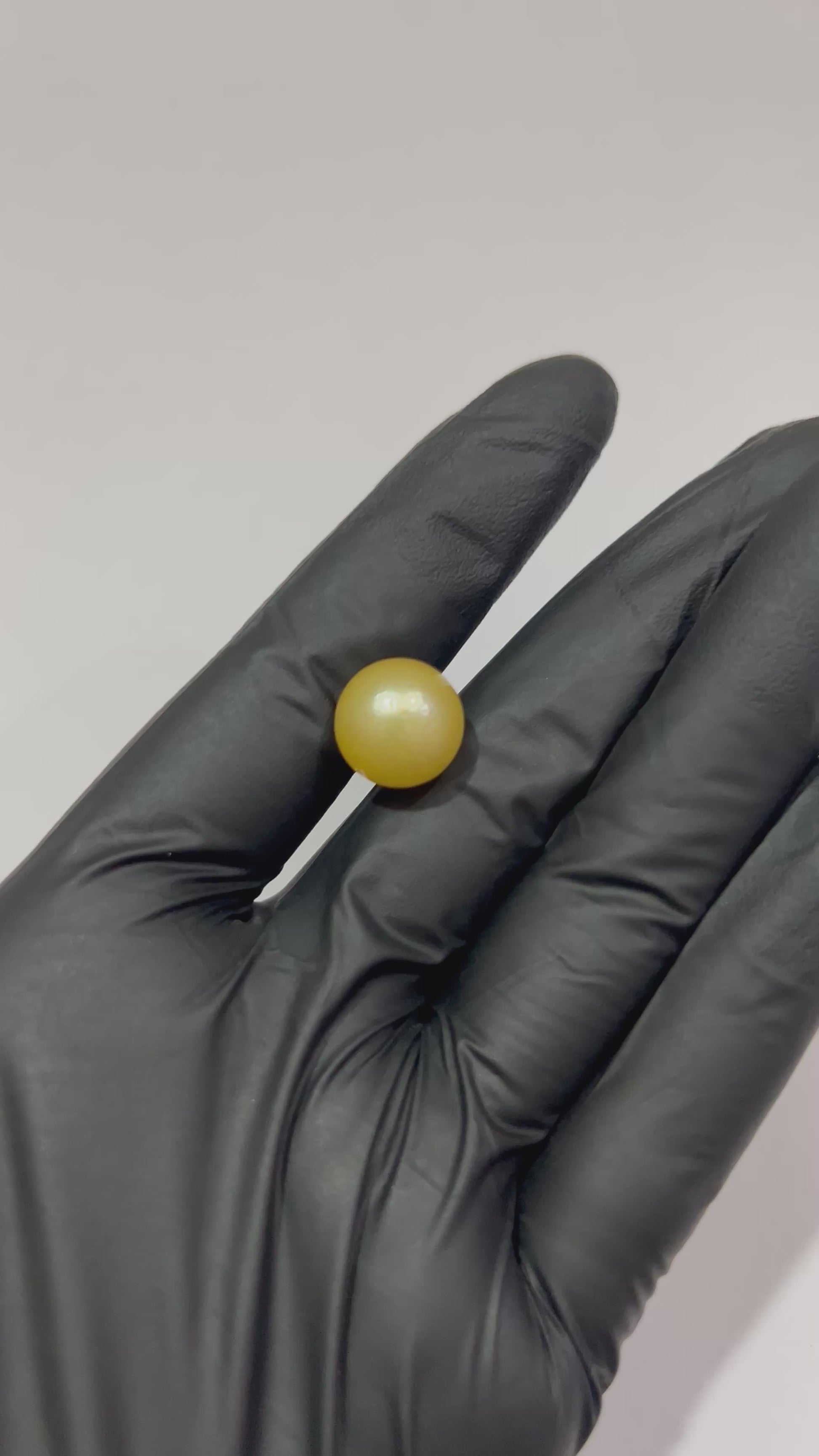 Golden Pearl