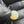 Natural South Sea Pearl – 13.4 Carat | Premium Australian Sea Pearl