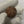 Natural 5 Mukhi Nepali Rudraksha – 21 mm | 4.6g