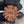 10 Mukhi Nepali Rudraksha with Lab Certificate – 28mm