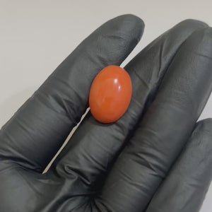 Natural Japanese Moonga (Red Coral) 14 Ratti