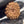 11 Mukhi Nepali Rudraksha with Lab Certificate & X-Ray – 29mm