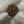 Natural 5 Mukhi Nepali Rudraksha – 25 mm | 5.18g