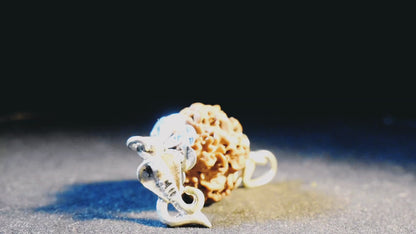 1 Mukhi Lab Certified Rudraksha