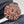 7 Mukhi Nepali Rudraksha with Lab Certificate – 21mm