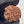 1 Mukhi Nepali Rudraksha with Lab Certificate & X-Ray – 23mm