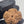 5 Mukhi Nepali Rudraksha with Lab Certificate – 25mm