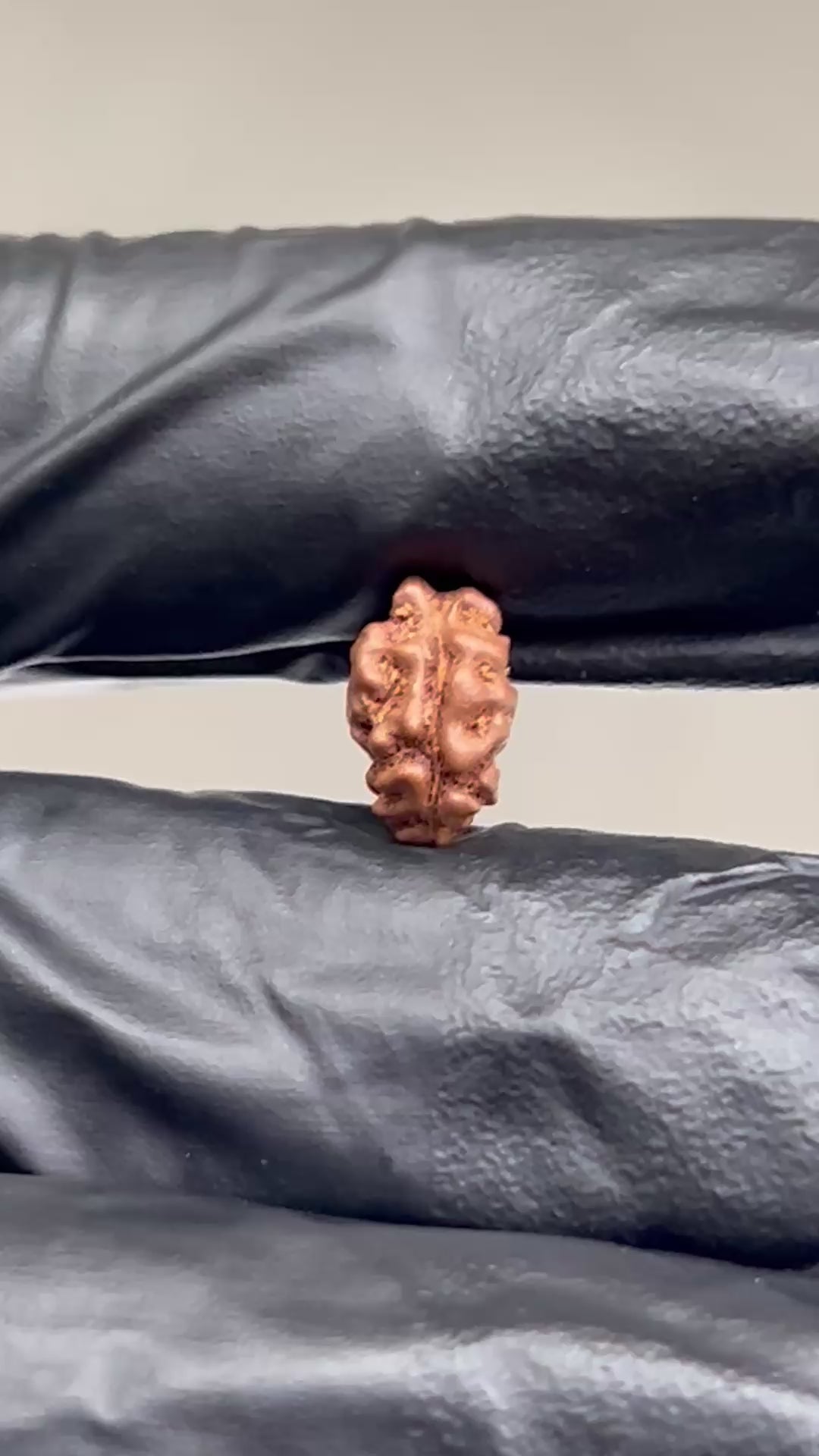 1 Mukhi Indonesia Rudraksha with Lab Certificate ( 9MM) video