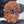 15 Mukhi Nepali Rudraksha with Lab Certificate & X-Ray – (31mm)