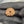 100% Natural - 10 Mukhi Rudraksha (22 MM | 4.7g)
