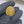 100% Natural Ceylon Yellow Sapphire (Pukhraj) – 33.6 Carat